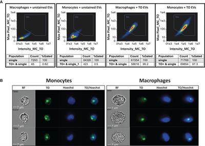 Monitoring Distribution Dynamics of EV RNA Cargo Within Recipient Monocytes and Macrophages